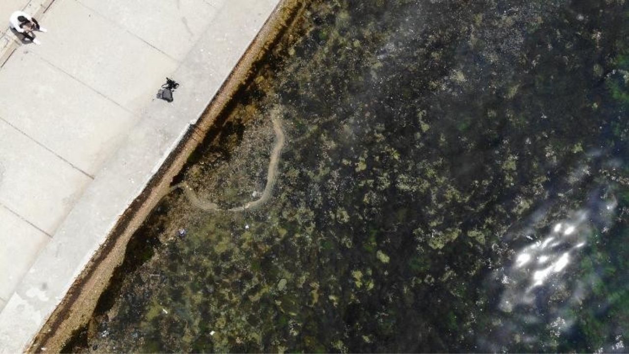 İstanbul'da korkutan görüntü! Müsilaj geri mi dönüyor?